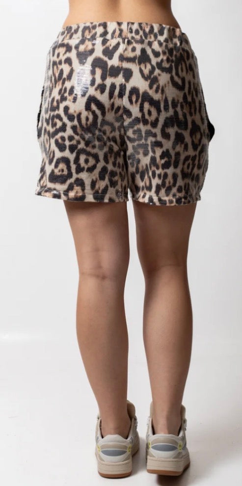Bermuda donna Disclaimer 2026