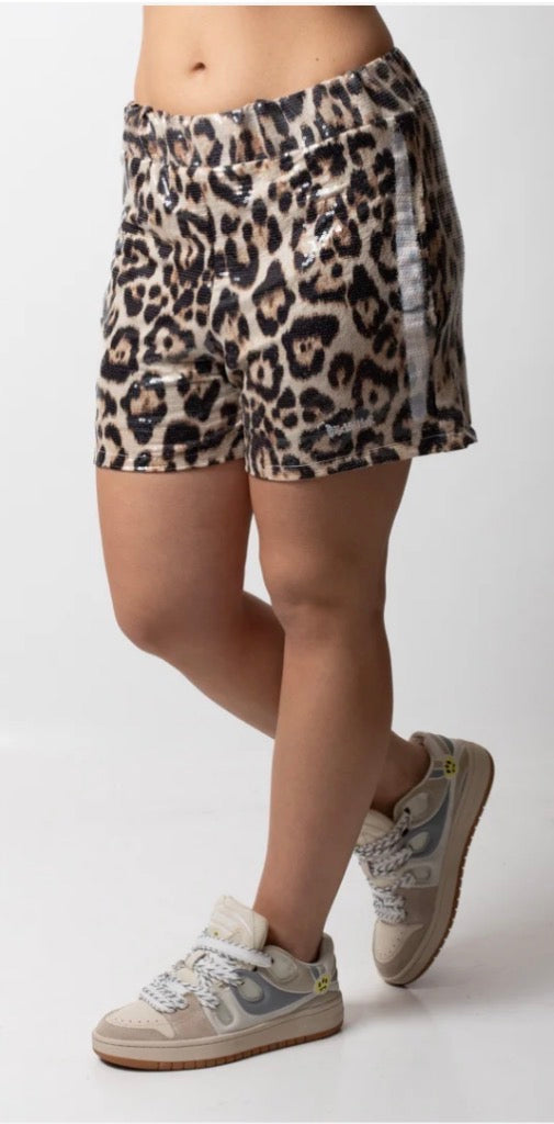 Bermuda donna Disclaimer 2026